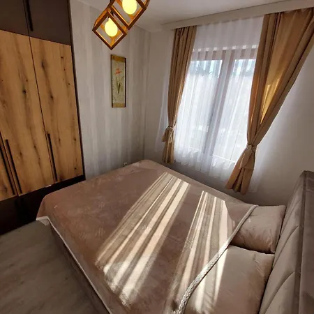 Aurora Zlatibora * Zlatibor