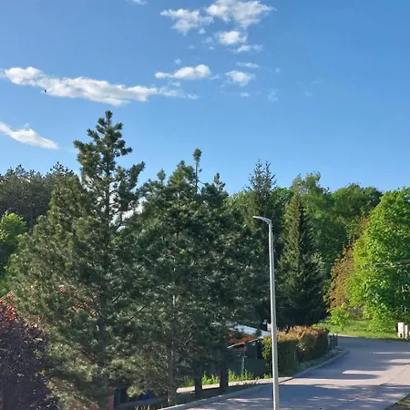 Aurora Zlatibora * Zlatibor