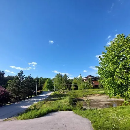 Aurora Zlatibora * Zlatibor